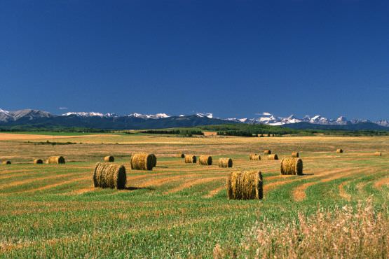 Hay bales with Rocky Mountains in background